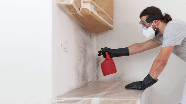 Professional Crawl Space Mold Removal technician working in Schiller Park, IL