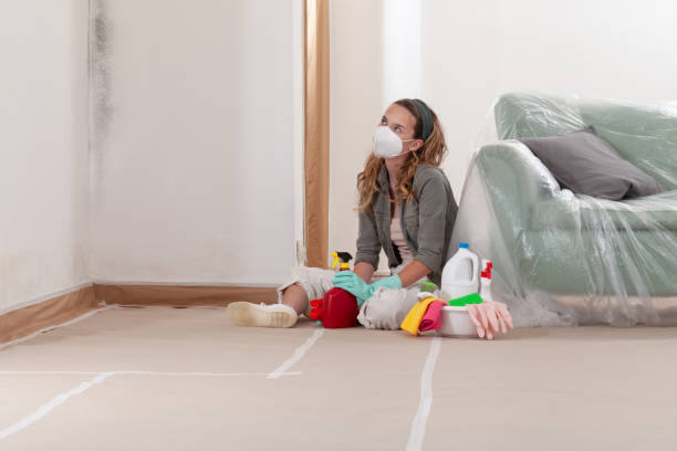 Reliable Crawl Space Mold Removal contractor in Schiller Park, IL by WQB Mold Removal